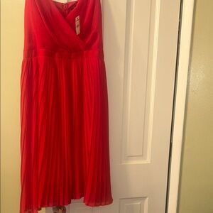 Express Scarlet Midi Dress